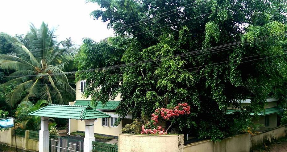 Lush Green Hut, Wayanad 3